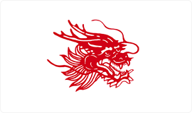 杏耀纸浆品牌：龙